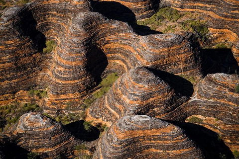 Bungle Bungle Scenic Flights, Domes & Cathedral Gorge Walk - Accommodation NT 5