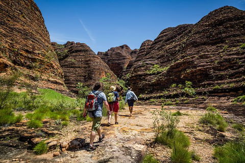 Bungle Bungle Scenic Flights, Domes & Cathedral Gorge Walk - Accommodation NT 4