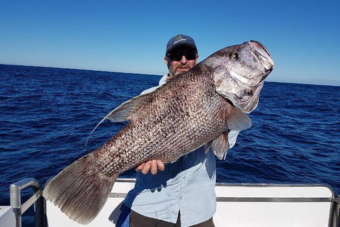 Deep Sea Fishing Charter From Perth - Accommodation NT 1