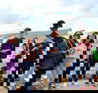 Margaret River Wine and Sights Discovery Tour from Busselton or Dunsborough - Accommodation NT