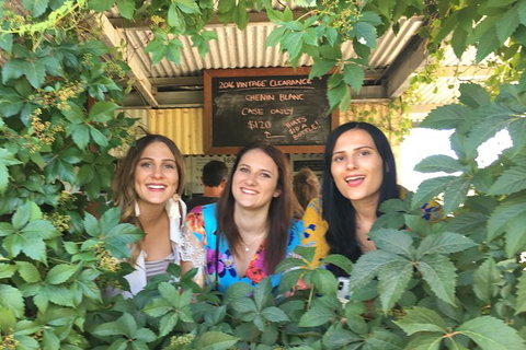 Perth River Cruise And Vineyard Experience: Best Of Both Worlds - Accommodation NT 1