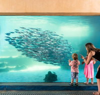 AQWA The Aquarium of Western Australia General Admission