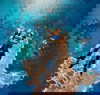 Rottnest Island Tandem Skydive - Accommodation NT