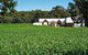 Upper Reach Winery: Swan Valley Winery And Vineyard Tour - thumb 0