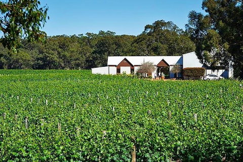 Upper Reach Winery: Swan Valley Winery And Vineyard Tour - Accommodation NT 0