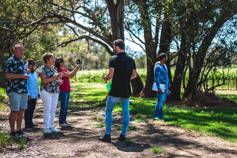 Upper Reach Winery: Swan Valley Winery And Vineyard Tour - Accommodation NT 8