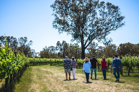 Upper Reach Winery: Swan Valley Winery And Vineyard Tour - Accommodation NT 3