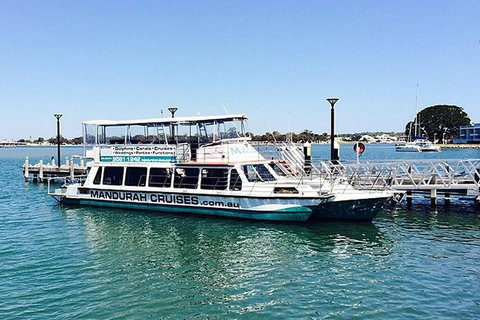 Full-Day Penguin Island & Mandurah Canal Cruise - Accommodation NT 4