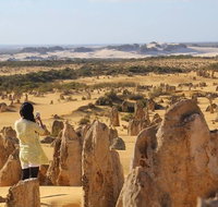 Full-Day Pinnacles Sandboarding and Yanchep National Park from Perth