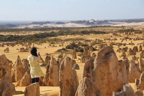 Full-Day Pinnacles Sandboarding And Yanchep National Park From Perth - Accommodation NT 0