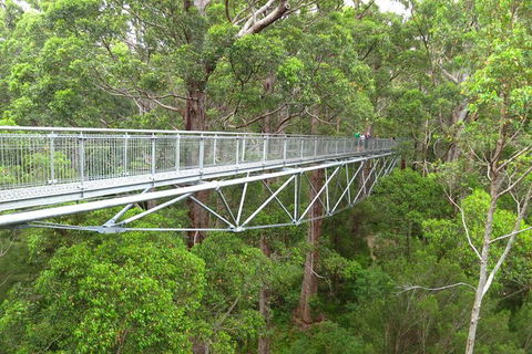 Albany Southwest Wilderness Day Tour - Fly From Perth - Accommodation NT 0