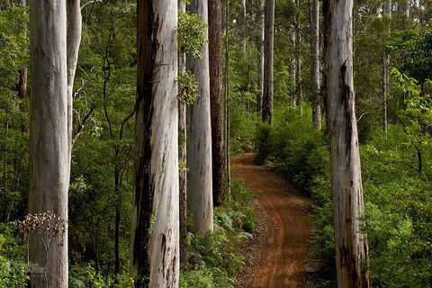 Albany Southwest Wilderness Day Tour - Fly From Perth - Accommodation NT 6