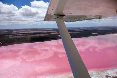70-minute Pink Lake Scenic Flight - Accommodation NT 3