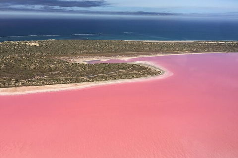 70-minute Pink Lake Scenic Flight - Accommodation NT 2
