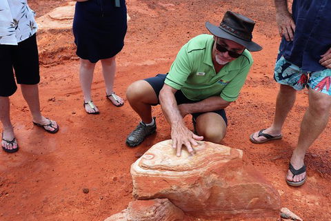 Broome Panoramic Town Tour - All The Extraordinary Sights And History Of Broome - Accommodation NT 10