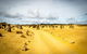 1 Day Pinnacles, Wildlife & Sandboarding - thumb 0