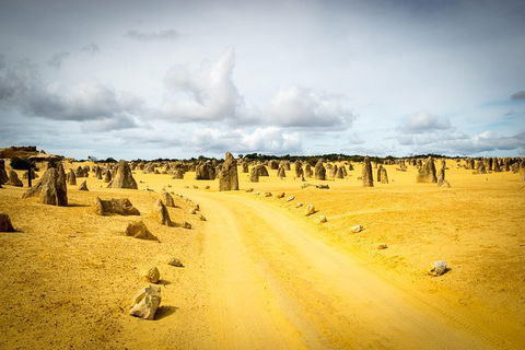 1 Day Pinnacles, Wildlife & Sandboarding - Accommodation NT 0