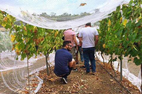 Premium Cider, Wine & Whiskey Tour - Small Group Full-Day Tour From Perth - Accommodation NT 7