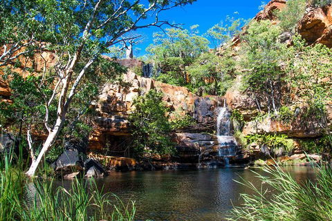 9-Day Kimberley Offroad Adventure From Broome To Darwin - Accommodation NT 4