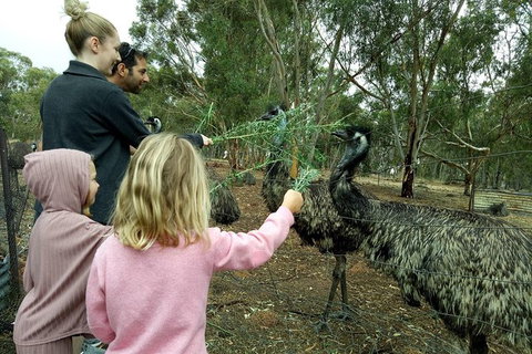 Full-Day Nature Tour From Perth - Accommodation NT 0