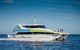 Whale-Watching Cruise And Hillarys Boat Harbour Day Trip From Perth - thumb 1