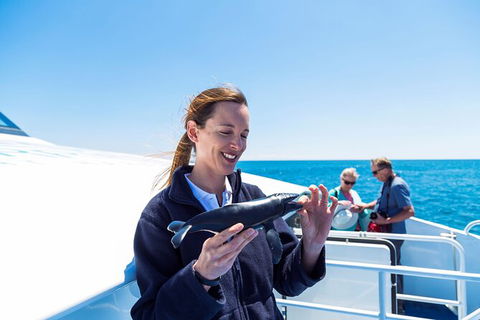 Whale-Watching Cruise And Hillarys Boat Harbour Day Trip From Perth - Accommodation NT 6