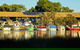 Reflections On The Swan (Private) Day Tour - thumb 3