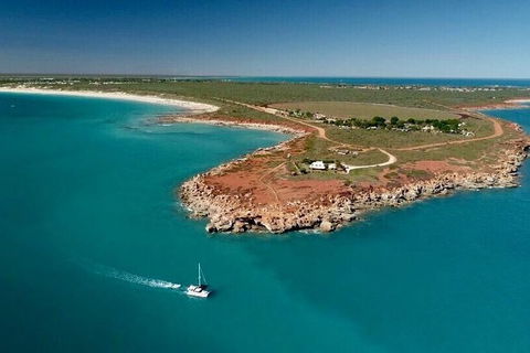 Half-Day Whale Watching Sunset Cruise From Broome - Accommodation NT 10