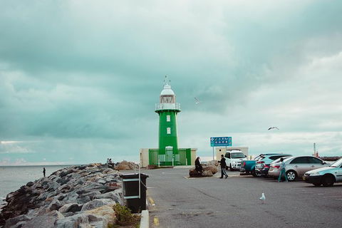 Penguin Island And Fremantle - Canoe, Chocolate & Coffee - Accommodation NT 1