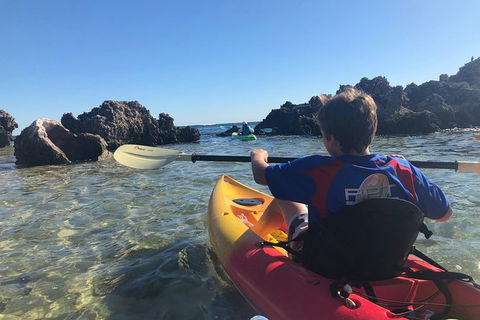 Penguin Island And Fremantle - Canoe, Chocolate & Coffee - Accommodation NT 0