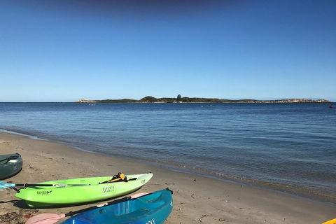 Penguin Island And Fremantle - Canoe, Chocolate & Coffee - Accommodation NT 4