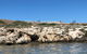 Penguin Island And Fremantle - Canoe, Chocolate & Coffee - thumb 10