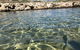 Penguin Island And Fremantle - Canoe, Chocolate & Coffee - thumb 5