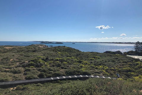 Penguin Island And Fremantle - Canoe, Chocolate & Coffee - Accommodation NT 12