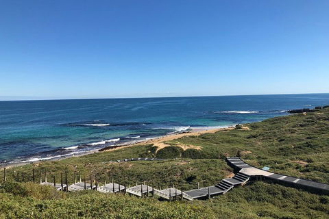 Penguin Island And Fremantle - Canoe, Chocolate & Coffee - Accommodation NT 3