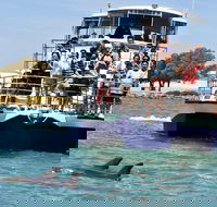 Mandurah Dolphin and Scenic Marine Cruise - Accommodation NT