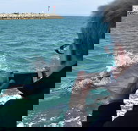 Mandurah Dolphin Island Adventure - Accommodation NT