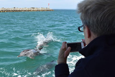 Mandurah Dolphin Island Adventure - Accommodation NT 0