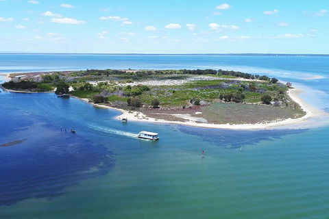 Mandurah Dolphin Island Adventure - Accommodation NT 8