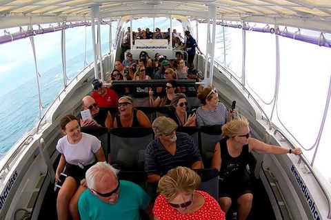 Mandurah Dolphin Island Adventure - Accommodation NT 12