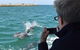 Mandurah Dolphin Island Adventure - thumb 2