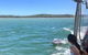 Mandurah Dolphin Island Adventure - thumb 9