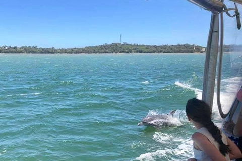Mandurah Dolphin Island Adventure - Accommodation NT 9