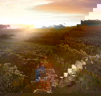 Leeuwin Estate Food and Wine Experience - Accommodation NT