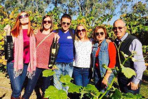 Wine Tasting Day Trip And Swan Valley River Cruise To Perth - Accommodation NT 1