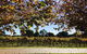 Wine Tasting Day Trip And Swan Valley River Cruise To Perth - thumb 5