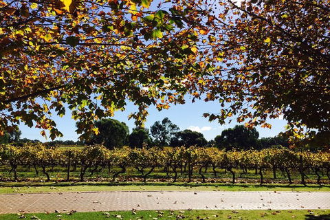 Wine Tasting Day Trip And Swan Valley River Cruise To Perth - Accommodation NT 5