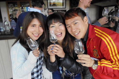 Wine Tasting Day Trip And Swan Valley River Cruise To Perth - Accommodation NT 3