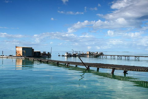 Full Day Guided Abrolhos Fly And Flipper Tour From Geraldton - Accommodation NT 0