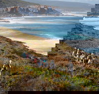 8-Day Cape to Cape Track Guided Walking Tour from Perth - Accommodation NT